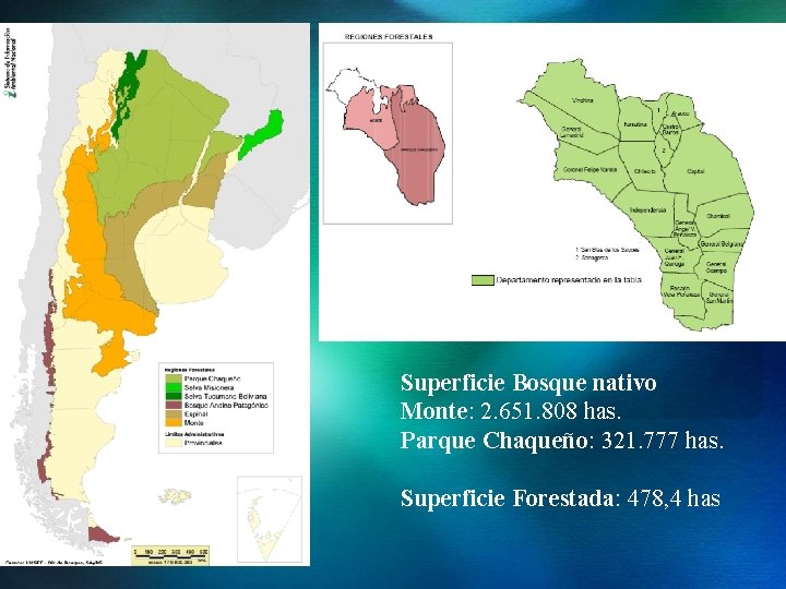Superficie Bosque nativo Monte: 2. 651. 808 has. Parque Chaqueño: 321. 777 has. Superficie Superficie Bosque nativo Monte: 2. 651. 808 has. Parque Chaqueño: 321. 777 has. Superficie