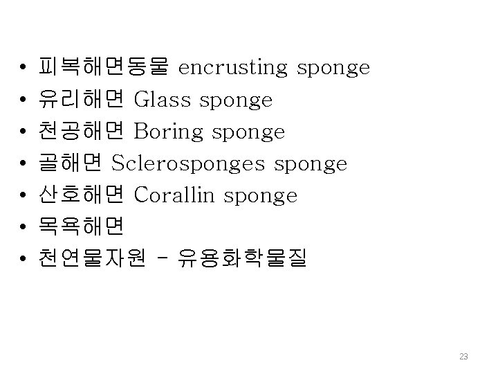  • • 피복해면동물 encrusting sponge 유리해면 Glass sponge 천공해면 Boring sponge 골해면 Sclerosponges