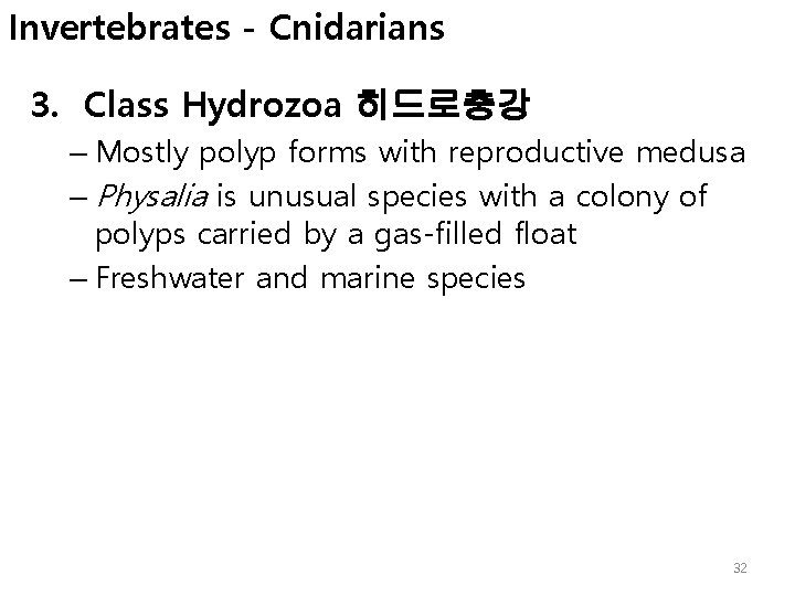 Invertebrates - Cnidarians 3. Class Hydrozoa 히드로충강 – Mostly polyp forms with reproductive medusa