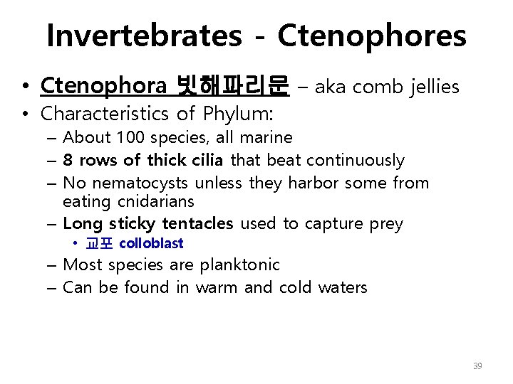 Invertebrates - Ctenophores • Ctenophora 빗해파리문 – aka comb jellies • Characteristics of Phylum: