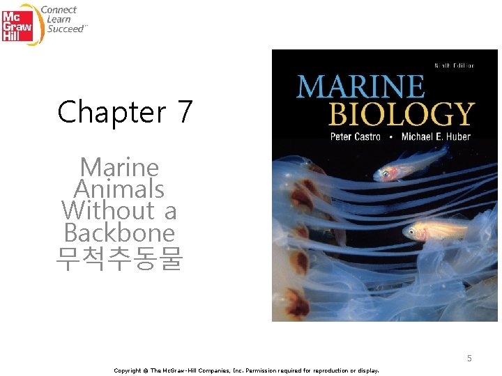 Chapter 7 Marine Animals Without a Backbone 무척추동물 5 Copyright © The Mc. Graw-Hill