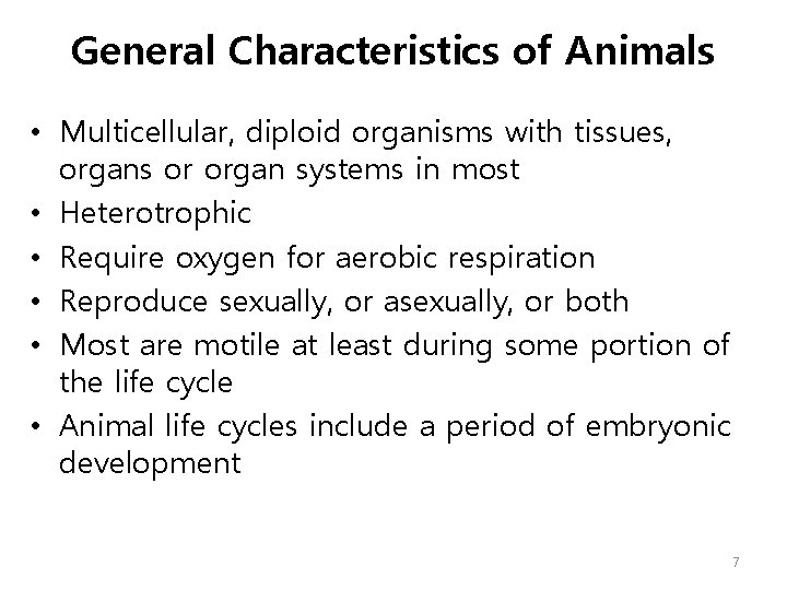 General Characteristics of Animals • Multicellular, diploid organisms with tissues, organs or organ systems
