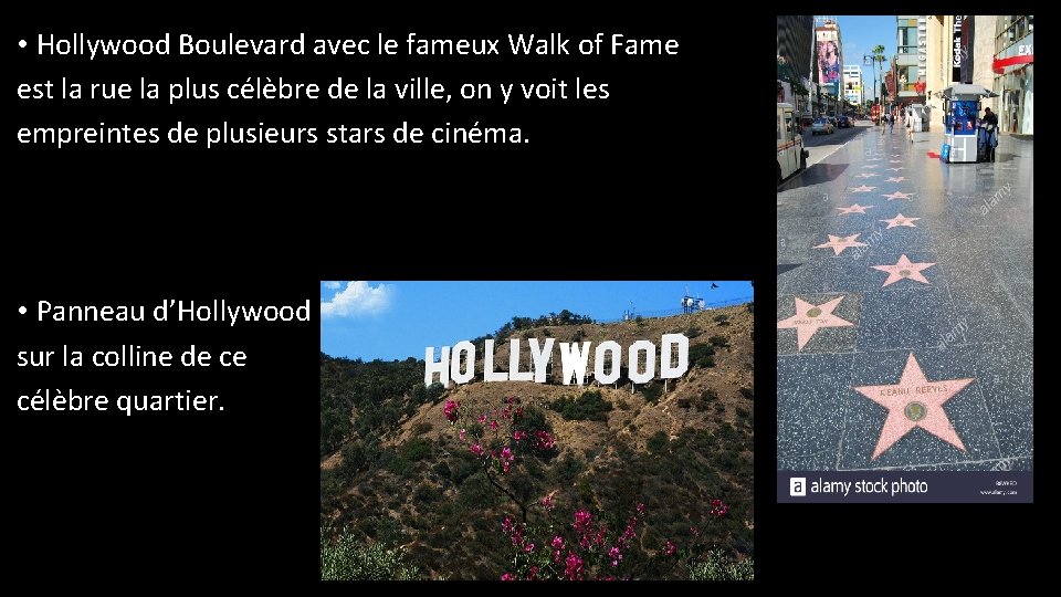  • Hollywood Boulevard avec le fameux Walk of Fame est la rue la