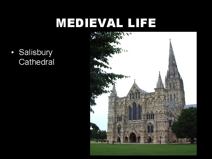 MEDIEVAL LIFE • Salisbury Cathedral 