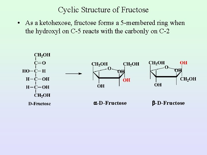 Cyclic Structure of Fructose • As a ketohexose, fructose forms a 5 -membered ring