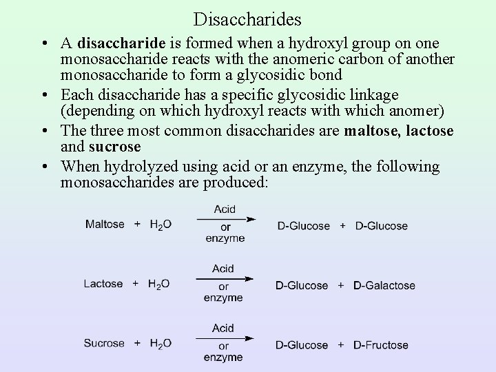 Disaccharides • A disaccharide is formed when a hydroxyl group on one monosaccharide reacts