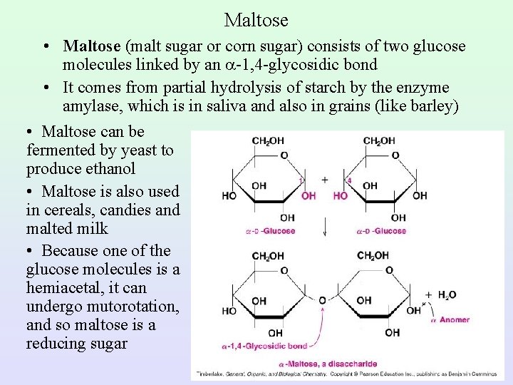 Maltose • Maltose (malt sugar or corn sugar) consists of two glucose molecules linked