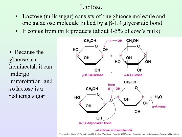 Lactose • Lactose (milk sugar) consists of one glucose molecule and one galactose molecule