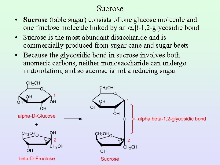 Sucrose • Sucrose (table sugar) consists of one glucose molecule and one fructose molecule