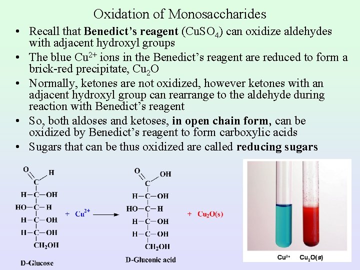 Oxidation of Monosaccharides • Recall that Benedict’s reagent (Cu. SO 4) can oxidize aldehydes