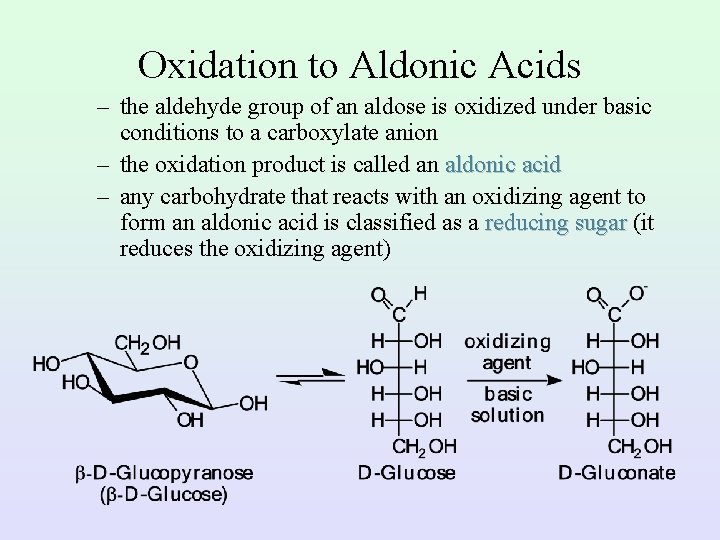 Oxidation to Aldonic Acids – the aldehyde group of an aldose is oxidized under