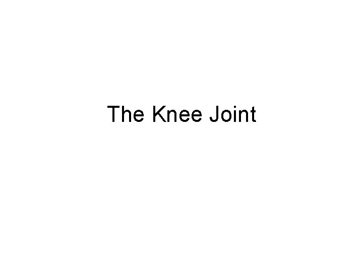 The Knee Joint 