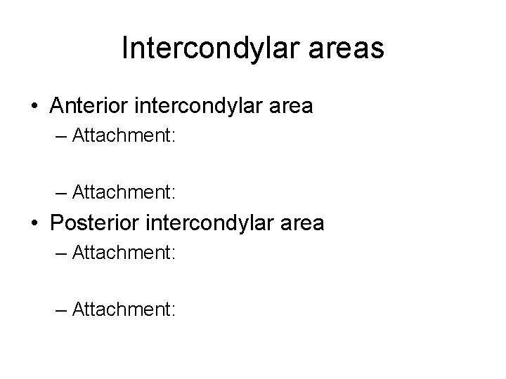 Intercondylar areas • Anterior intercondylar area – Attachment: • Posterior intercondylar area – Attachment: