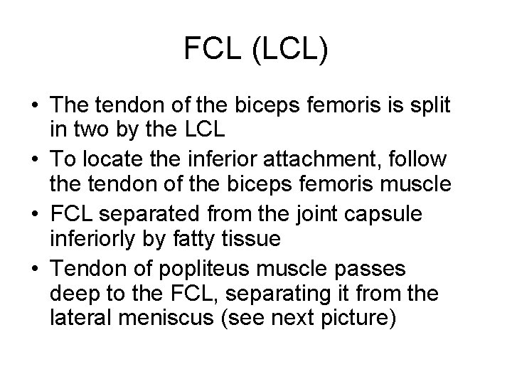 FCL (LCL) • The tendon of the biceps femoris is split in two by