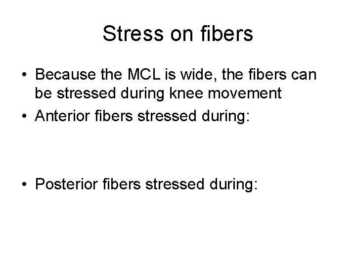 Stress on fibers • Because the MCL is wide, the fibers can be stressed