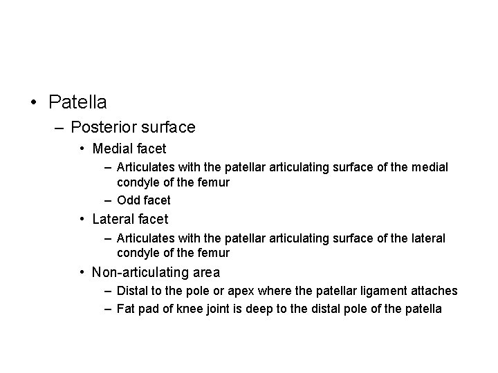  • Patella – Posterior surface • Medial facet – Articulates with the patellar