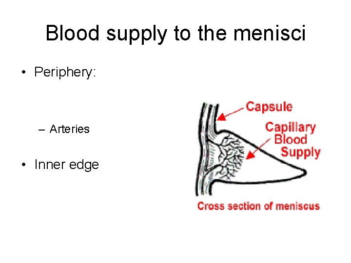 Blood supply to the menisci • Periphery: – Arteries • Inner edge 