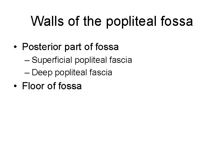 Walls of the popliteal fossa • Posterior part of fossa – Superficial popliteal fascia