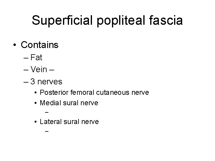 Superficial popliteal fascia • Contains – Fat – Vein – – 3 nerves •