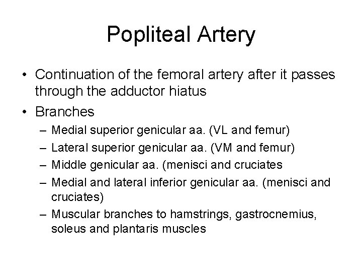Popliteal Artery • Continuation of the femoral artery after it passes through the adductor