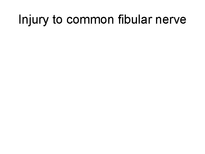 Injury to common fibular nerve 
