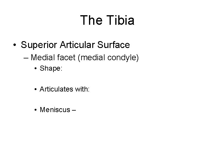 The Tibia • Superior Articular Surface – Medial facet (medial condyle) • Shape: •