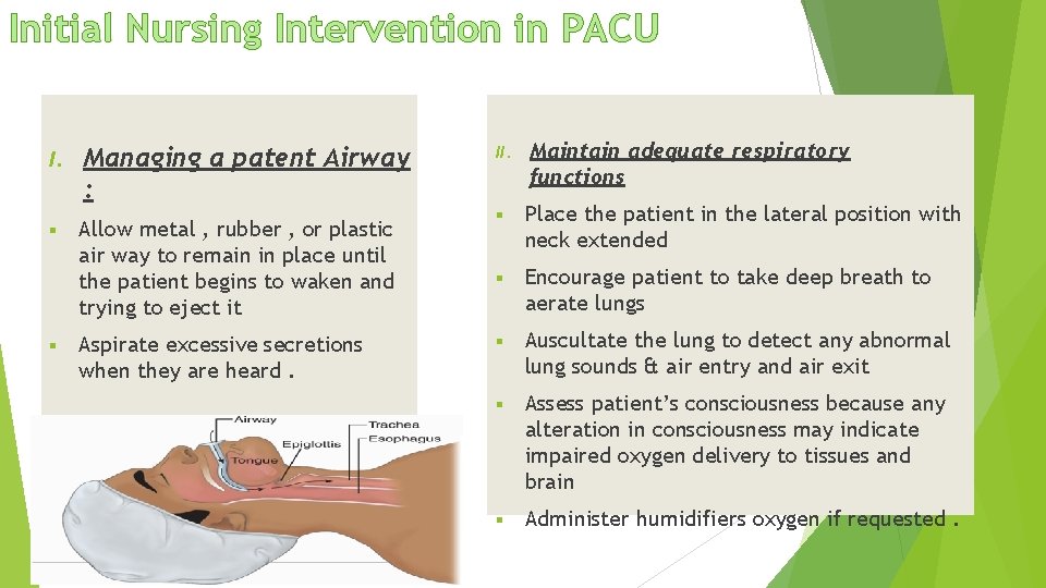 Initial Nursing Intervention in PACU I. § § Managing a patent Airway : Allow