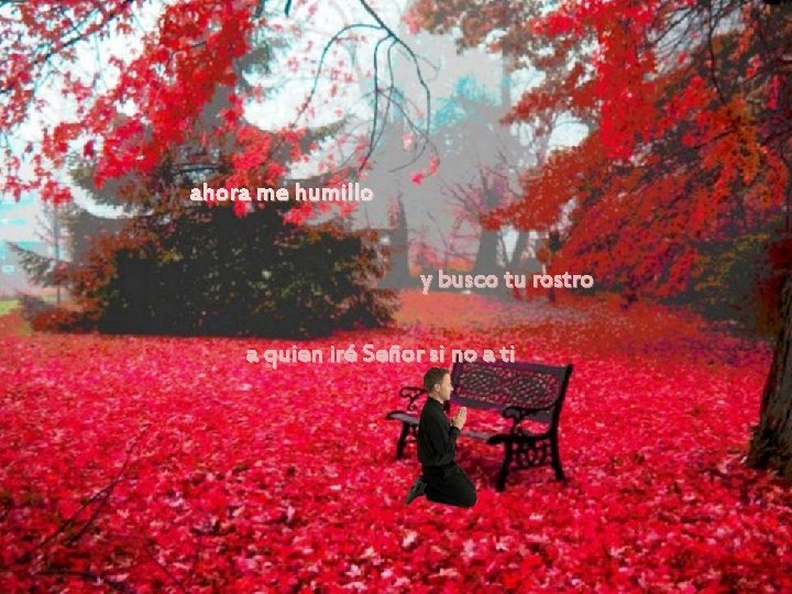 ahora me humillo y busco tu rostro a quien iré Señor si no a