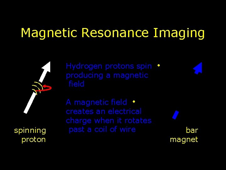 Magnetic Resonance Imaging + spinning proton Hydrogen protons spin producing a magnetic field A