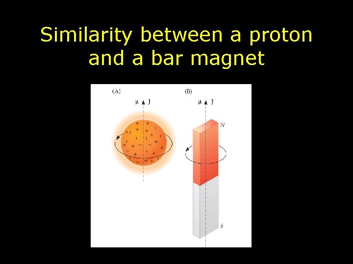 Similarity between a proton and a bar magnet 