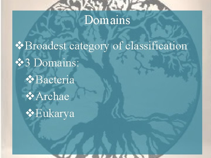 Domains v. Broadest category of classification v 3 Domains: v. Bacteria v. Archae v.