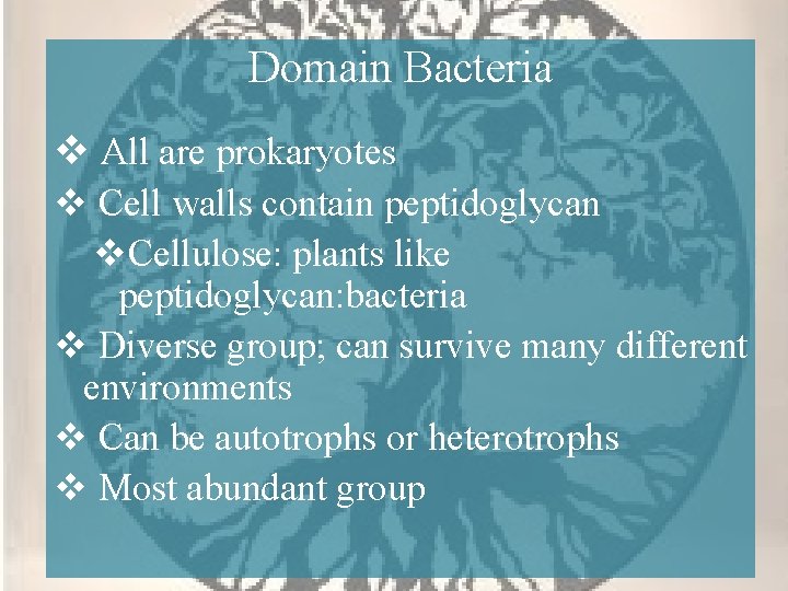 Domain Bacteria v All are prokaryotes v Cell walls contain peptidoglycan v. Cellulose: plants