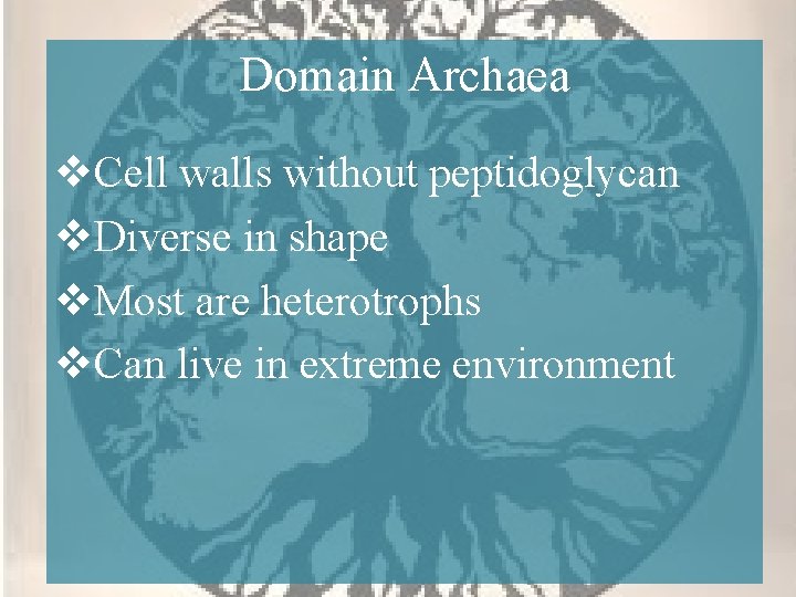 Domain Archaea v. Cell walls without peptidoglycan v. Diverse in shape v. Most are