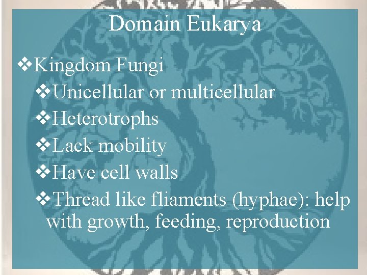 Domain Eukarya v. Kingdom Fungi v. Unicellular or multicellular v. Heterotrophs v. Lack mobility