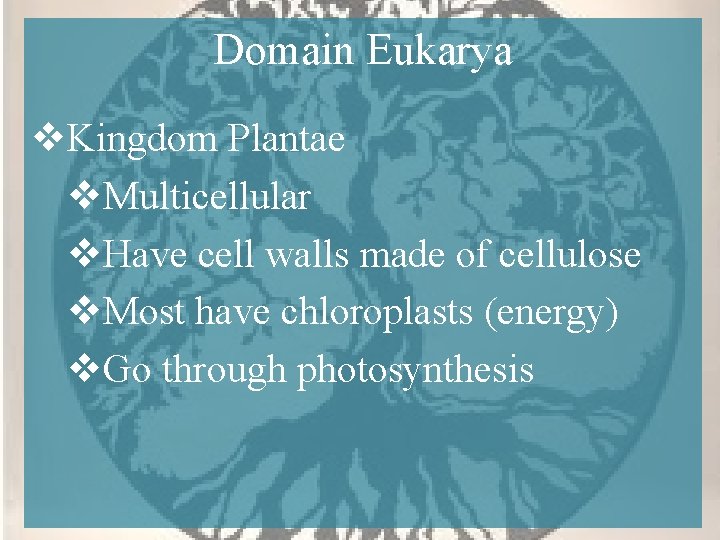 Domain Eukarya v. Kingdom Plantae v. Multicellular v. Have cell walls made of cellulose