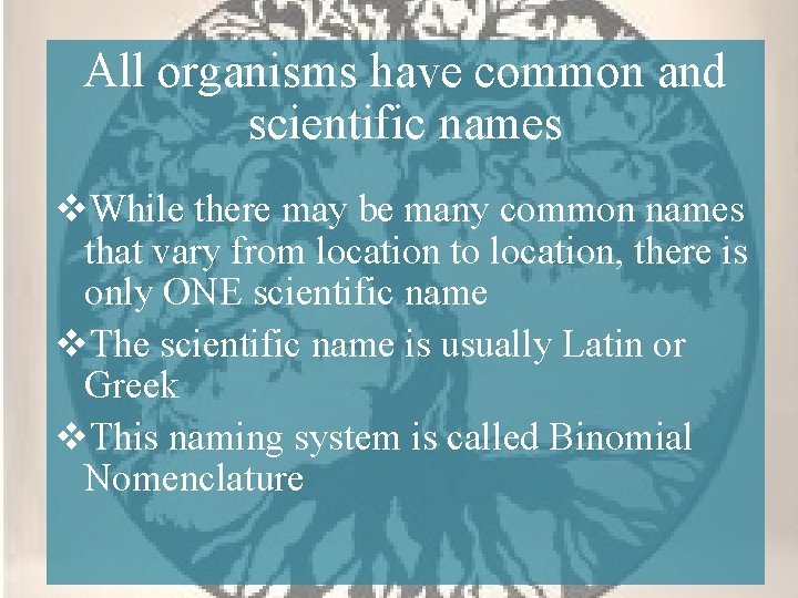 All organisms have common and scientific names v. While there may be many common