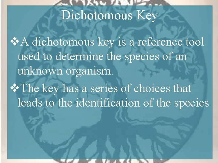 Dichotomous Key v. A dichotomous key is a reference tool used to determine the