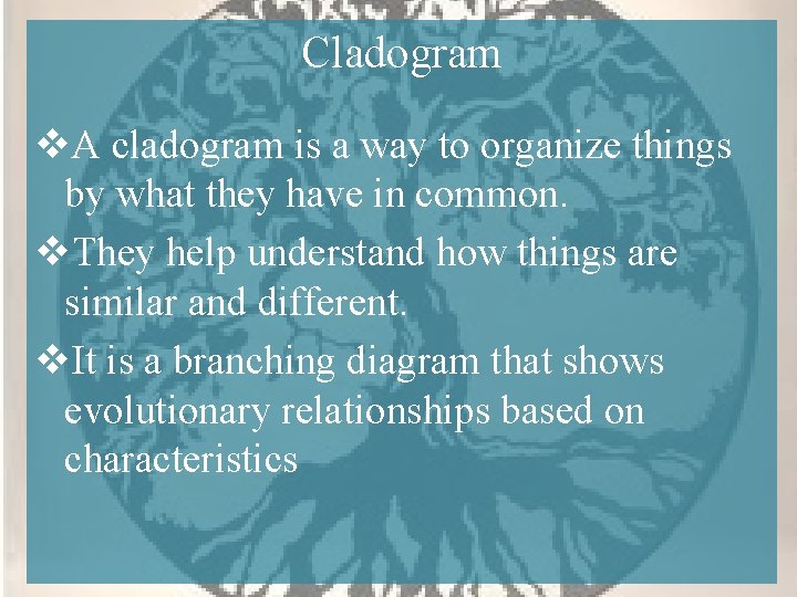 Cladogram v. A cladogram is a way to organize things by what they have