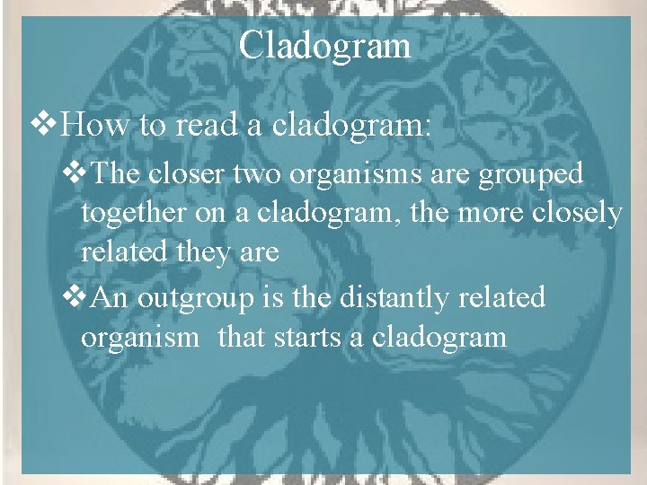 Cladogram v. How to read a cladogram: v. The closer two organisms are grouped