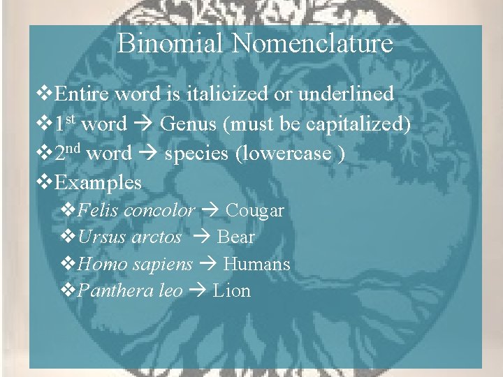 Binomial Nomenclature v. Entire word is italicized or underlined v 1 st word Genus