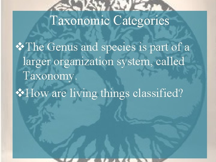 Taxonomic Categories v. The Genus and species is part of a larger organization system,