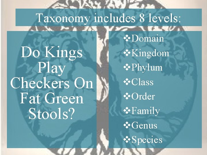 Taxonomy includes 8 levels: Do Kings Play Checkers On Fat Green Stools? v. Domain