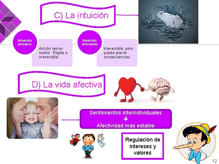 C) La intuición Intuición primaria Intuición articulada Acción sensomotriz. Rígida e irreversible. Irreversible, pero