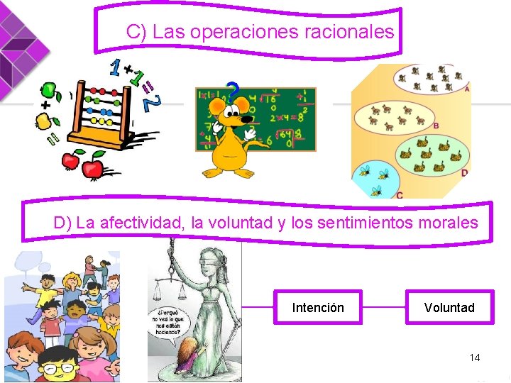 C) Las operaciones racionales D) La afectividad, la voluntad y los sentimientos morales Intención