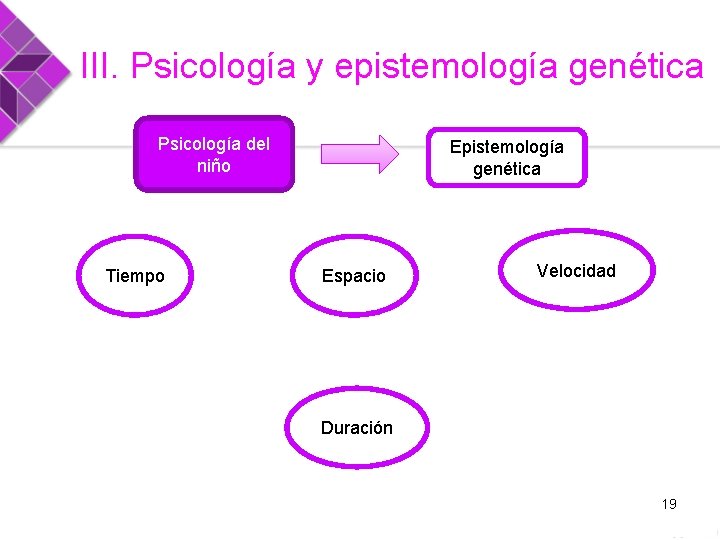 III. Psicología y epistemología genética Psicología del niño Tiempo Epistemología genética Espacio Velocidad Duración