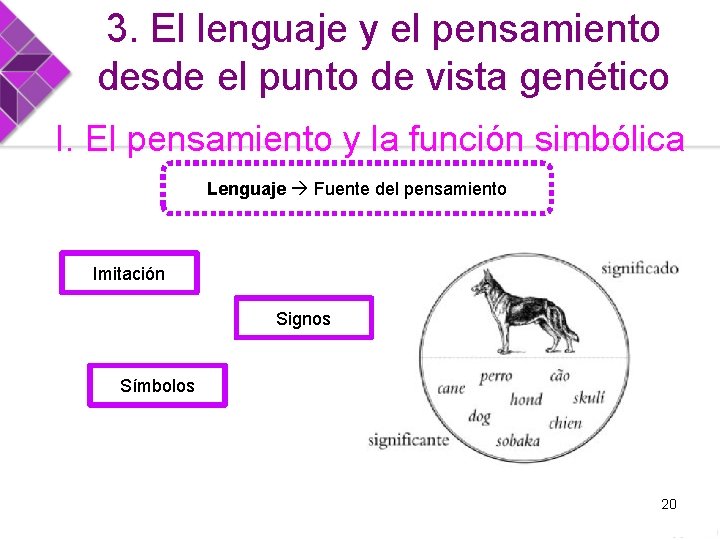 3. El lenguaje y el pensamiento desde el punto de vista genético I. El