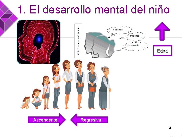 1. El desarrollo mental del niño Edad Ascendente Regresiva 4 