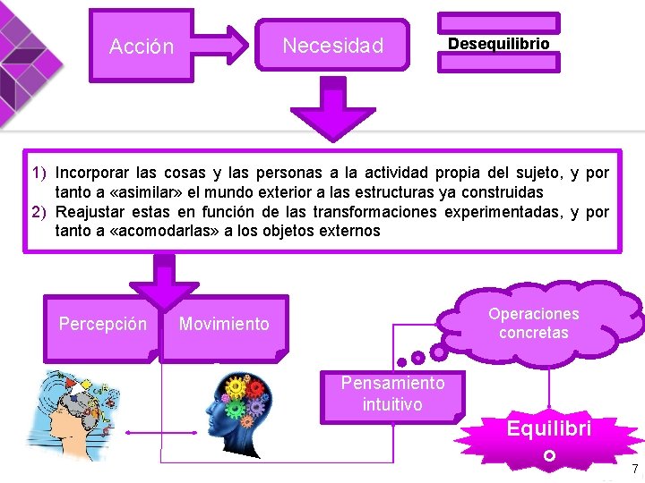 Necesidad Acción Desequilibrio 1) Incorporar las cosas y las personas a la actividad propia