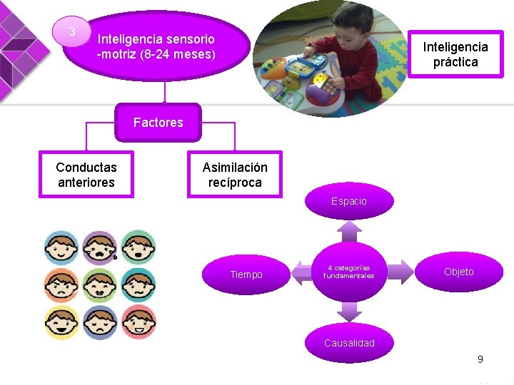 3 Inteligencia sensorio -motriz (8 -24 meses) Inteligencia práctica Factores Conductas anteriores Asimilación recíproca