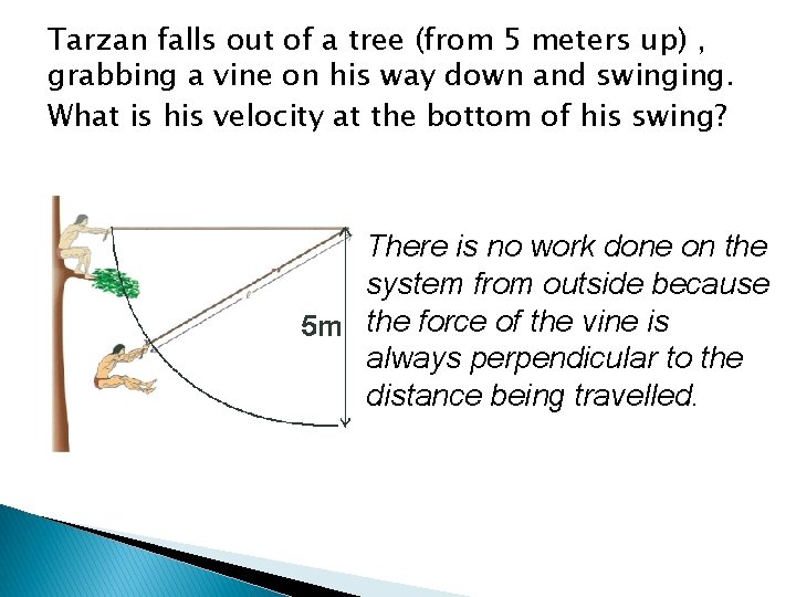 Tarzan falls out of a tree (from 5 meters up) , grabbing a vine